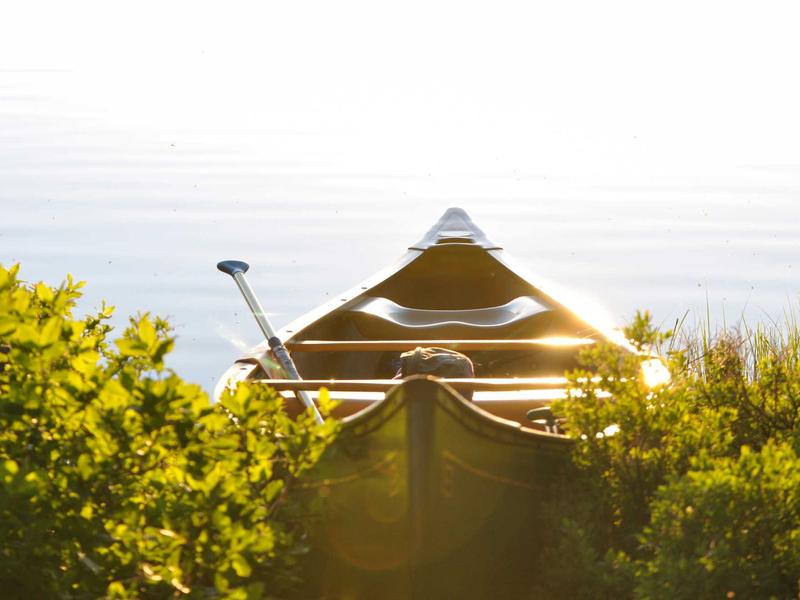 sudoku forcing chains screenshot 2