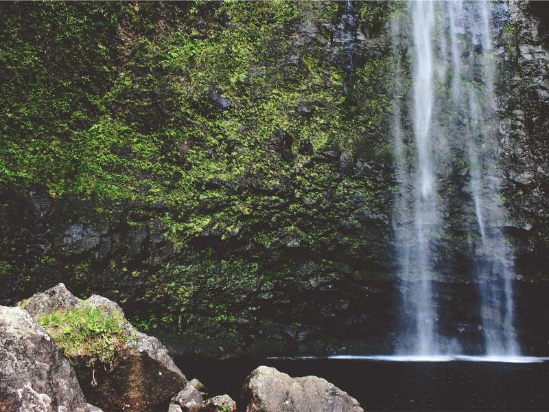 sudoku number placement screenshot 4